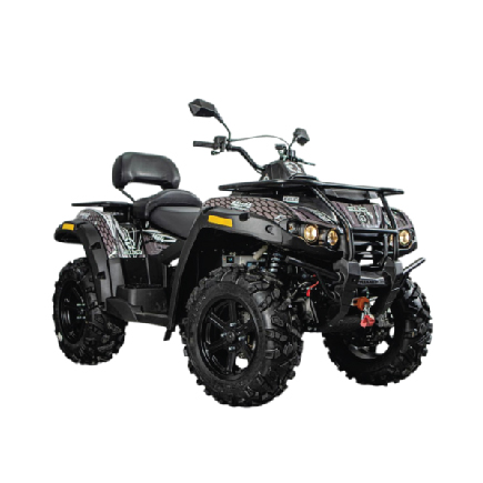 ELIQ RM650 ATV